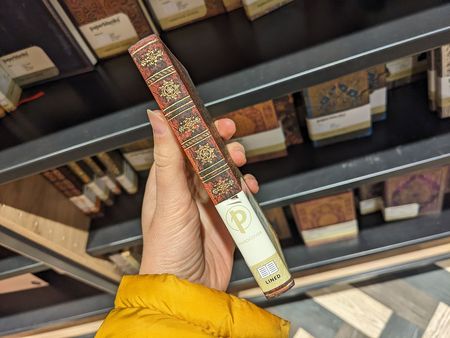 Иллюстрация без описания