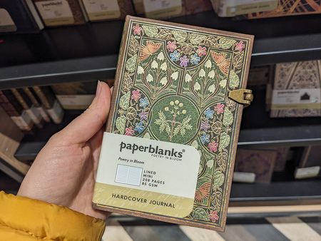 Иллюстрация без описания