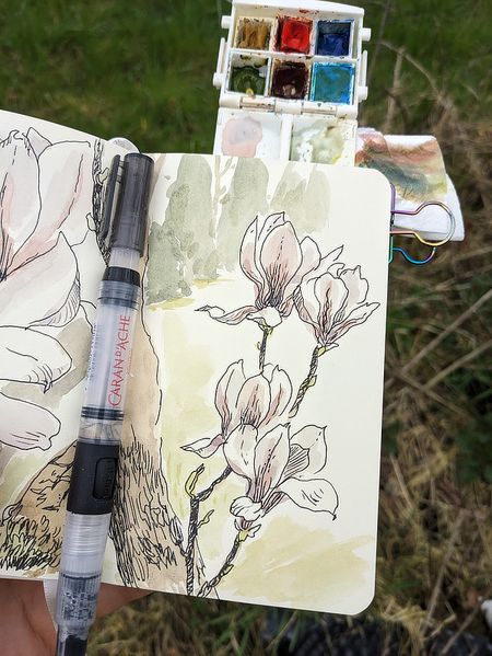 Иллюстрация без описания