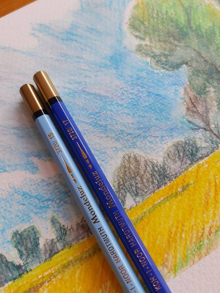 Иллюстрация без описания