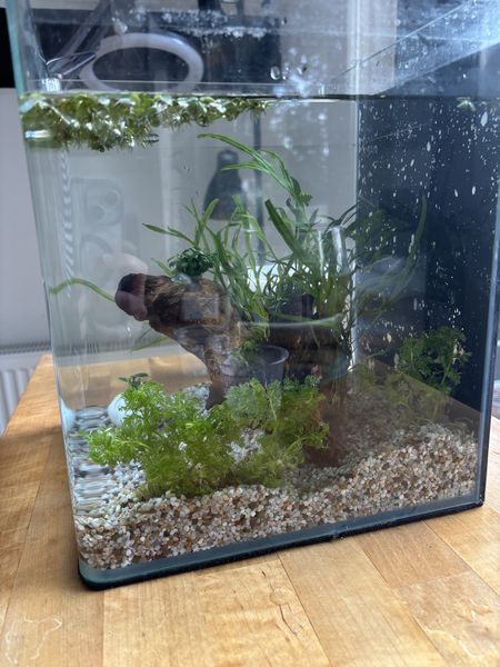 Иллюстрация без описания