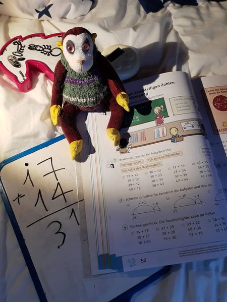 Иллюстрация без описания