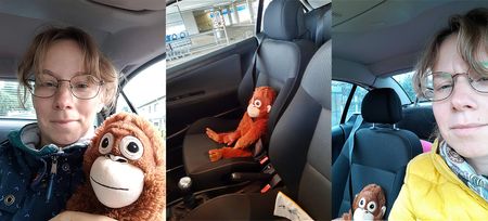 Жизнь после сдачи на права