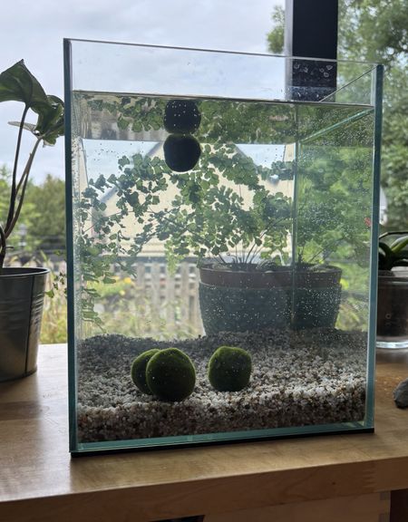 Иллюстрация без описания