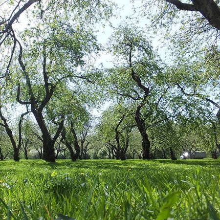 Всякий дыбр.