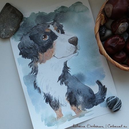 Октябрь - 4 неделя