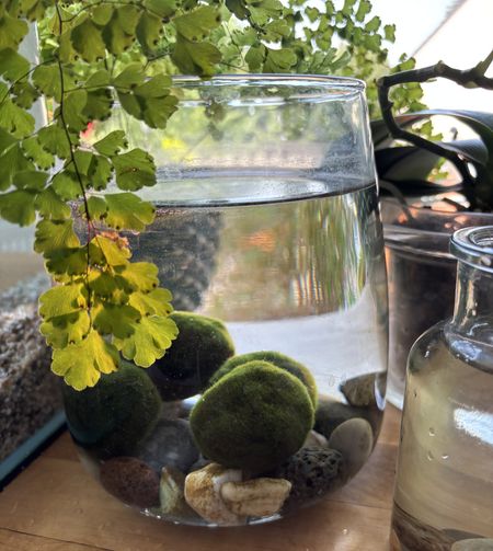 Иллюстрация без описания