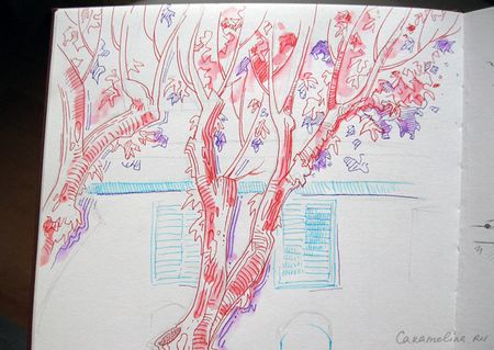 Линеры и вода