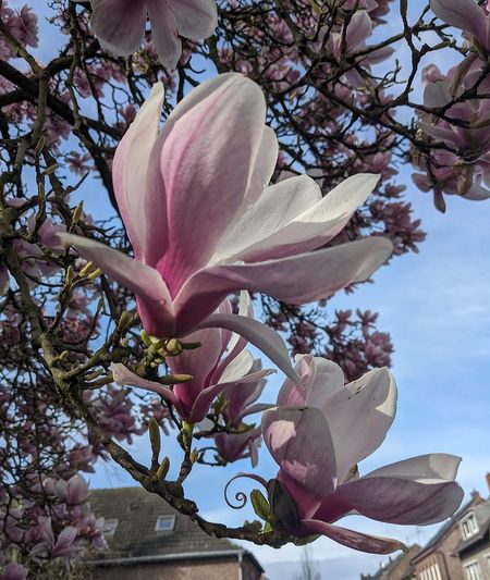 Иллюстрация без описания