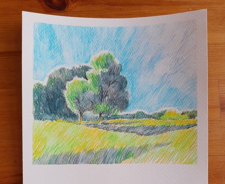 Иллюстрация без описания