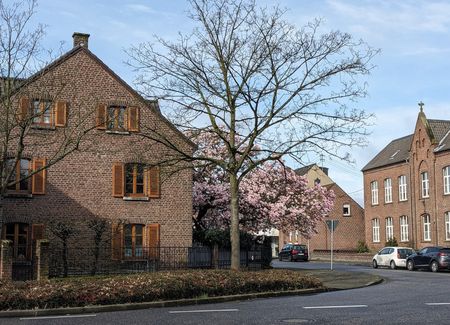 Иллюстрация без описания