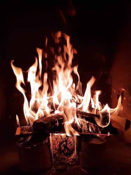 Иллюстрация без описания