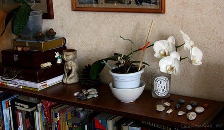 В коллекцию