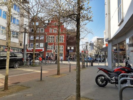 Иллюстрация без описания