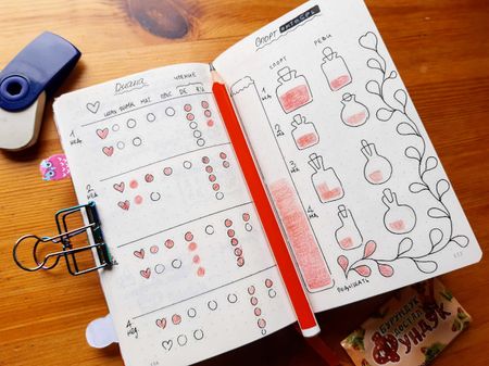 Иллюстрация без описания