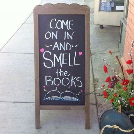 Иллюстрация без описания