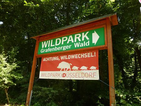 Wildpark в Дюссельдорфе