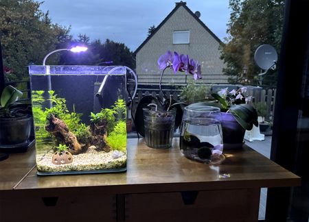 Иллюстрация без описания