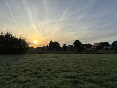 Иллюстрация без описания