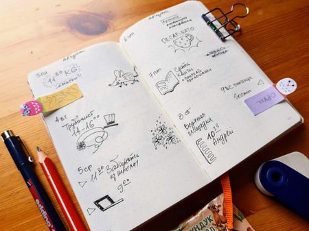 Иллюстрация без описания