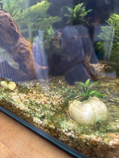 Иллюстрация без описания