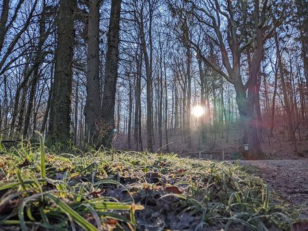 Волосатый снег
