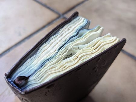 Иллюстрация без описания