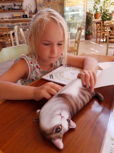 Иллюстрация без описания