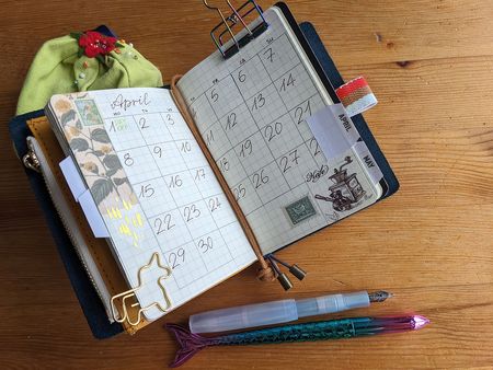 Иллюстрация без описания