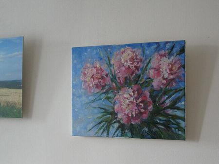 Последние приобретения