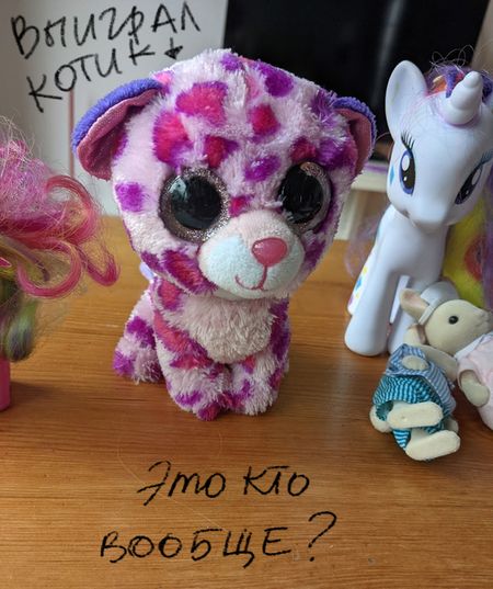 Иллюстрация без описания