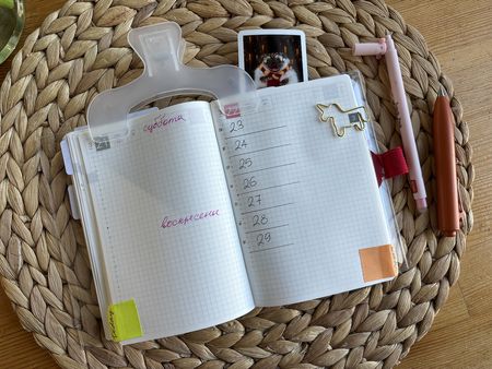 Иллюстрация без описания