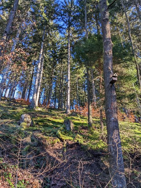 Иллюстрация без описания