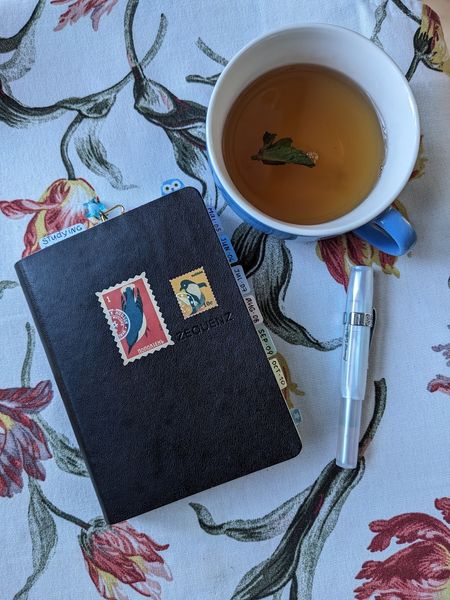 Иллюстрация без описания