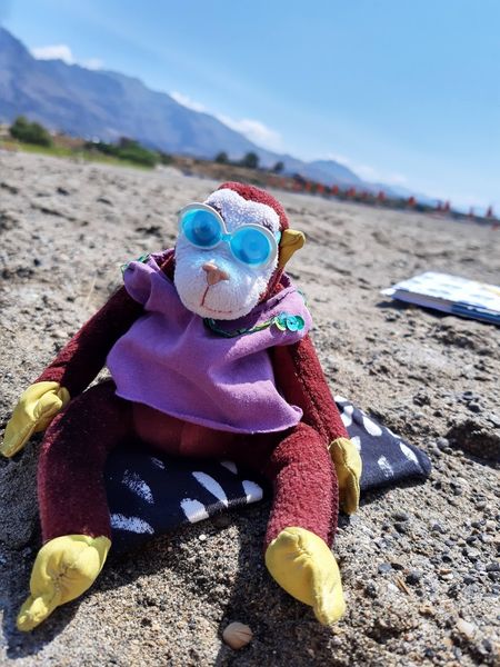 Иллюстрация без описания