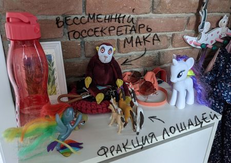 Как мы играли в выборы