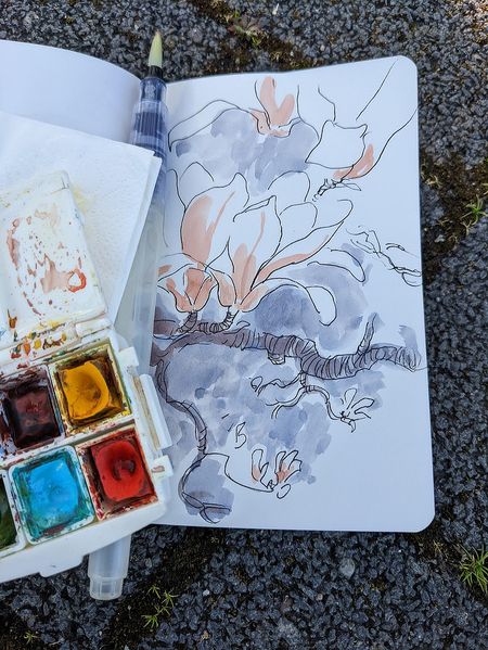 Иллюстрация без описания