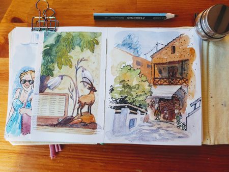 Иллюстрация без описания