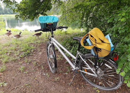 Иллюстрация без описания