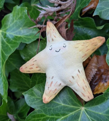 Иллюстрация без описания