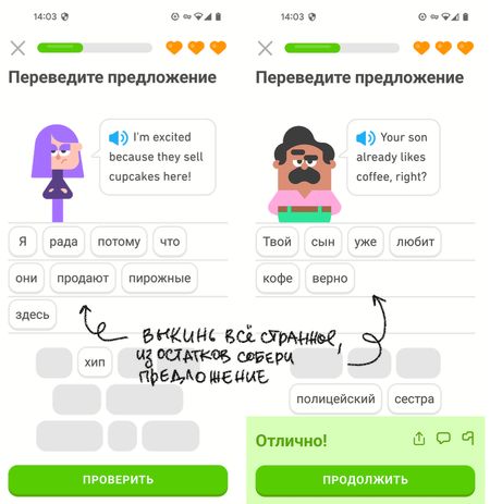 Иллюстрация без описания