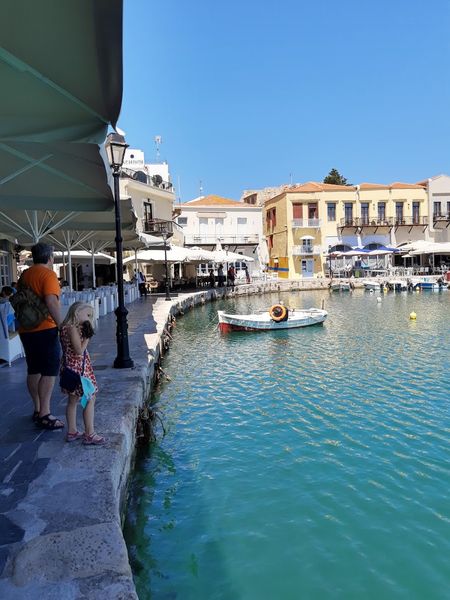 Иллюстрация без описания