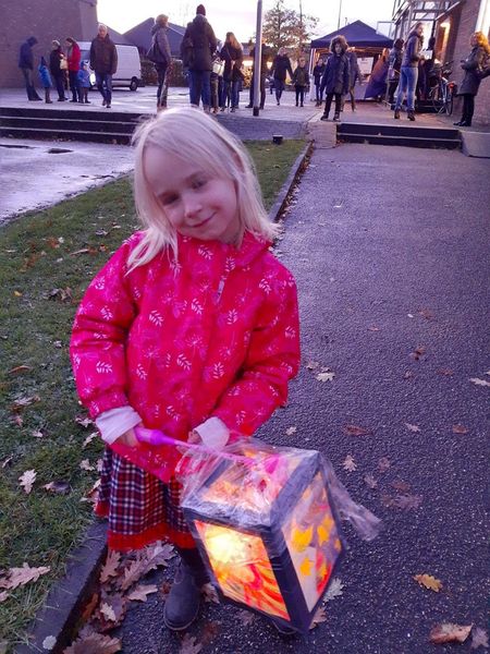 Иллюстрация без описания