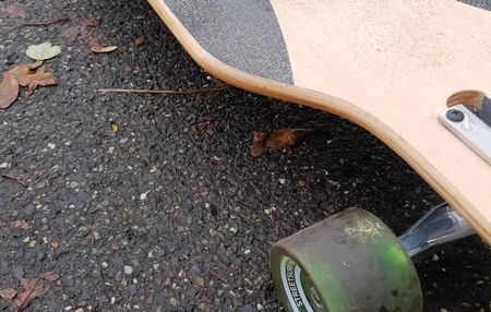 Иллюстрация без описания