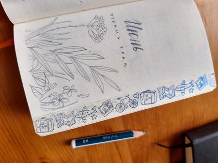 Иллюстрация без описания