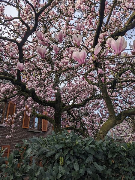 Иллюстрация без описания