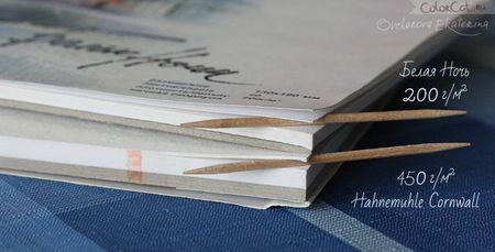 Иллюстрация без описания