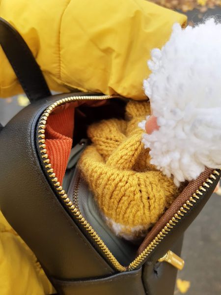 Иллюстрация без описания