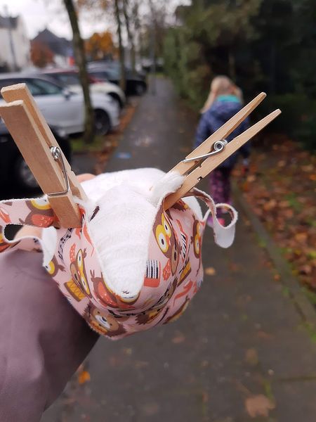 Козьи времена