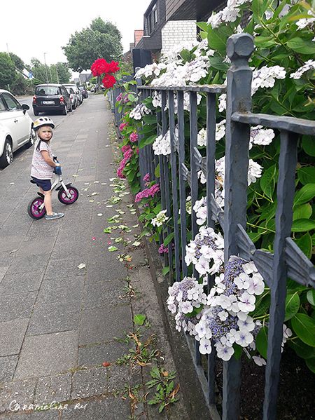 20170703_152358.jpg